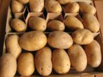 Brandenburgische Kartoffeln